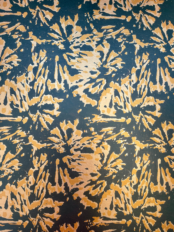 Tortoise