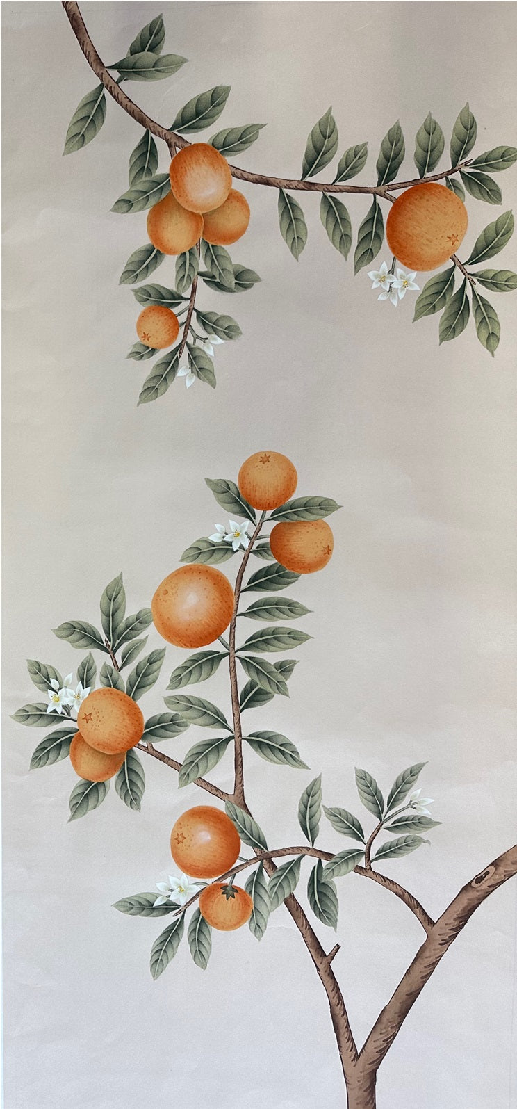 アート 柑橘の鉢植え 木製パネル by Katherine Barnell アート 柑橘の鉢植え 木製パネル by Katherine Barnell