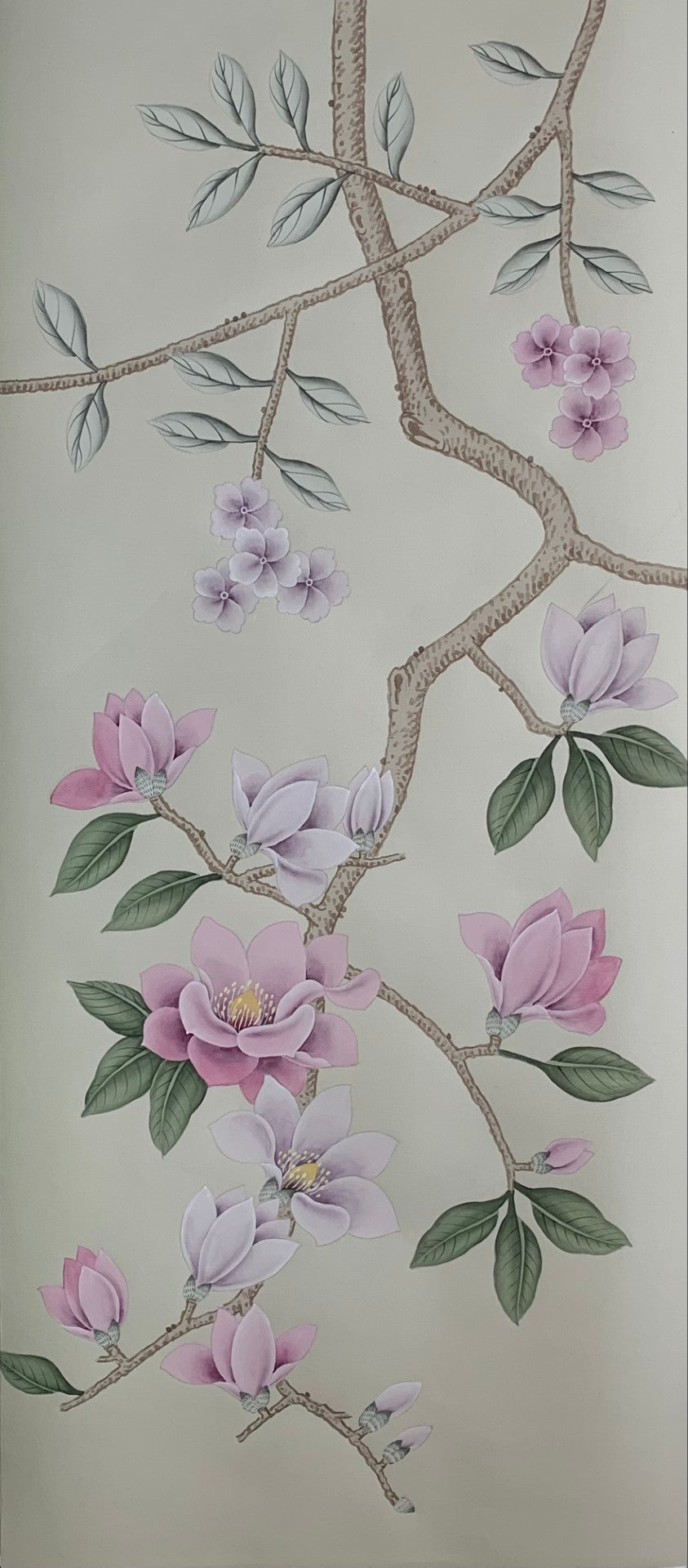 Magnolia