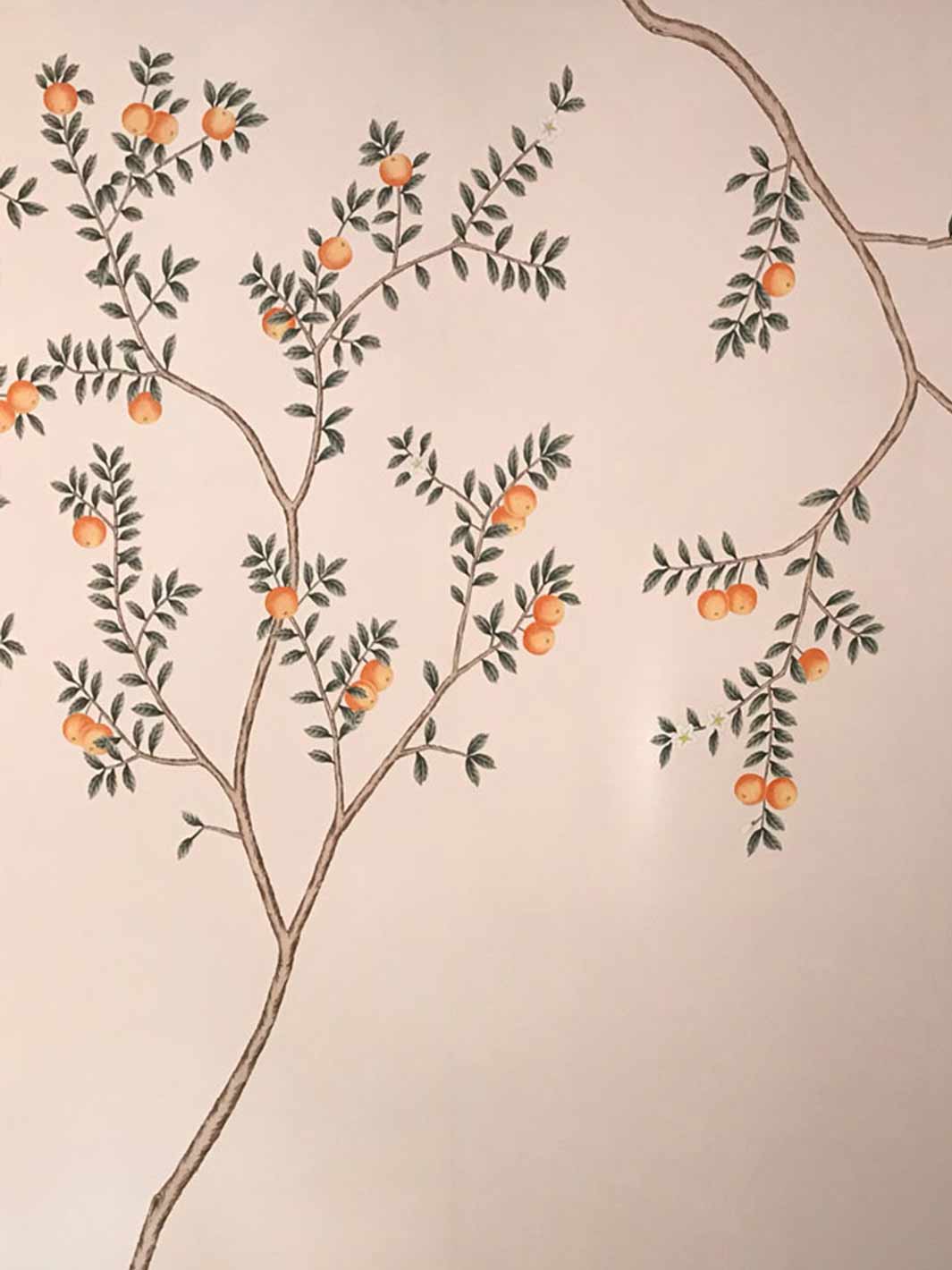 Aqualille Honeybell orange wallpaper detail