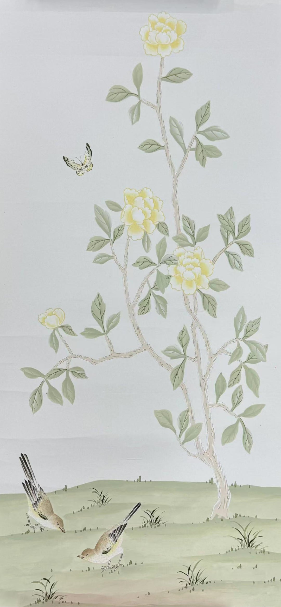 Perennial Peony