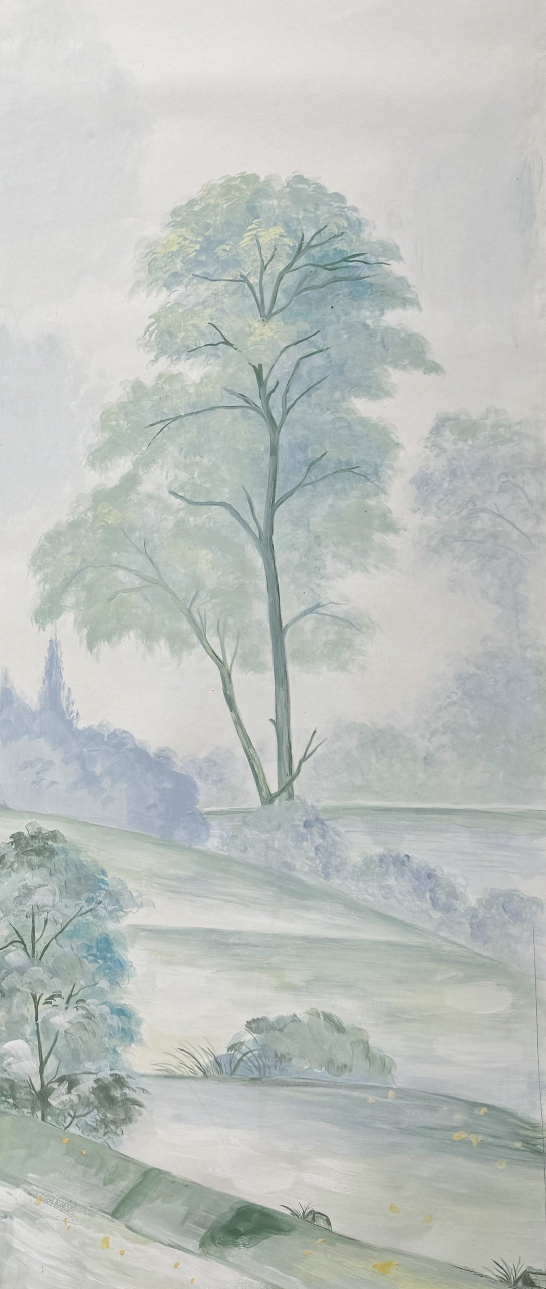 Alder