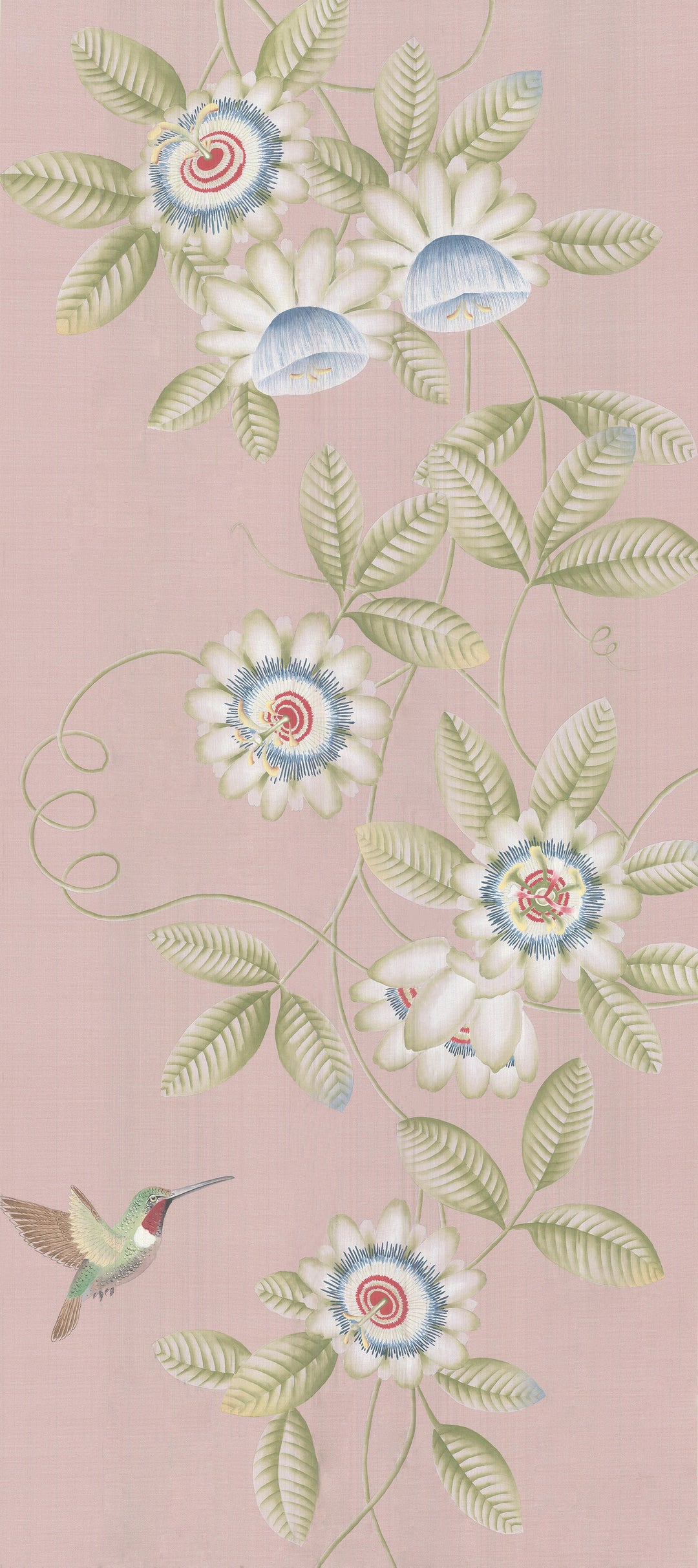 Passion Flower