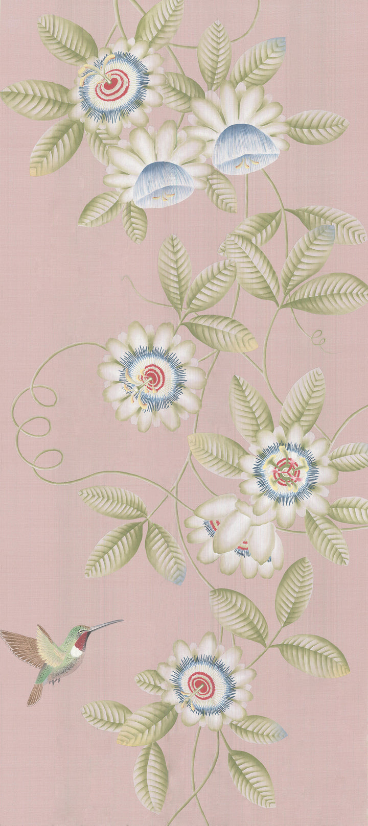 Passion Flower