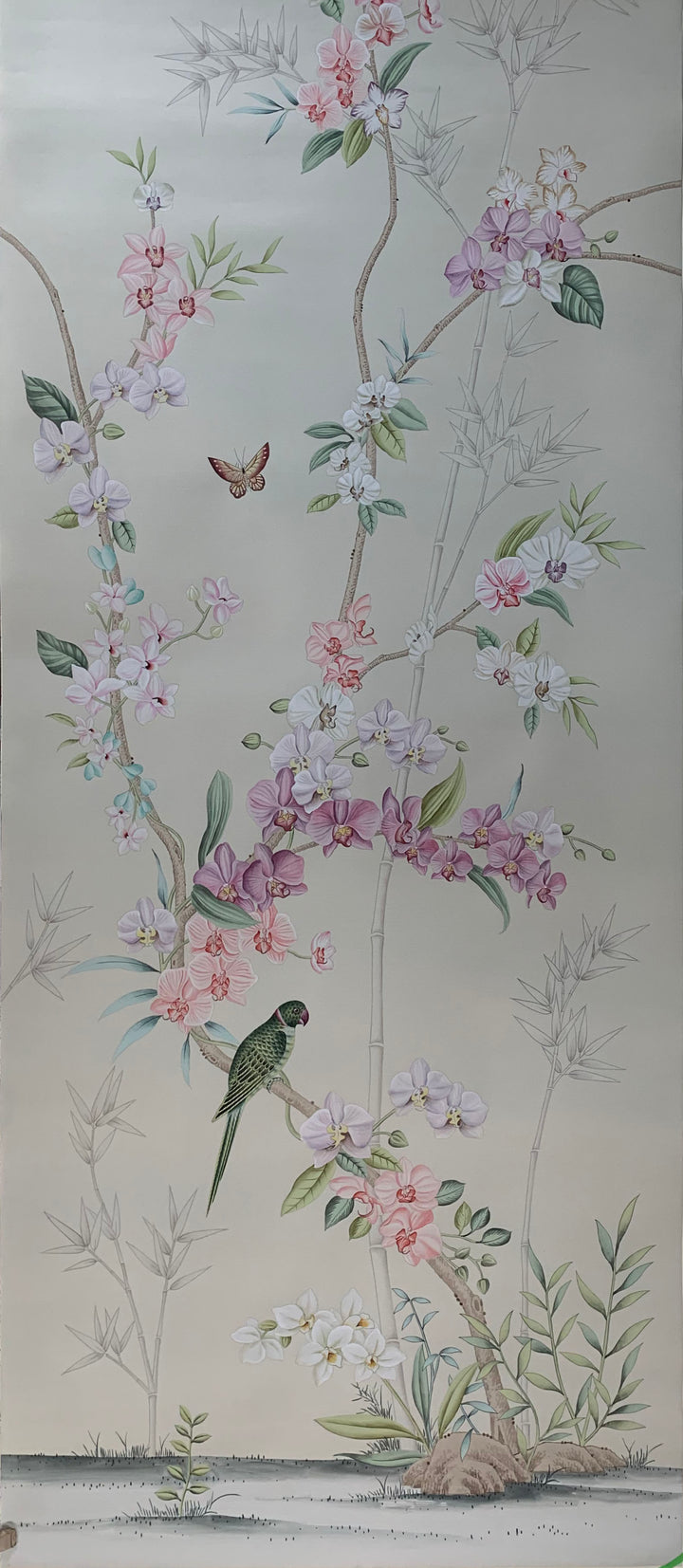 Wild Orchids